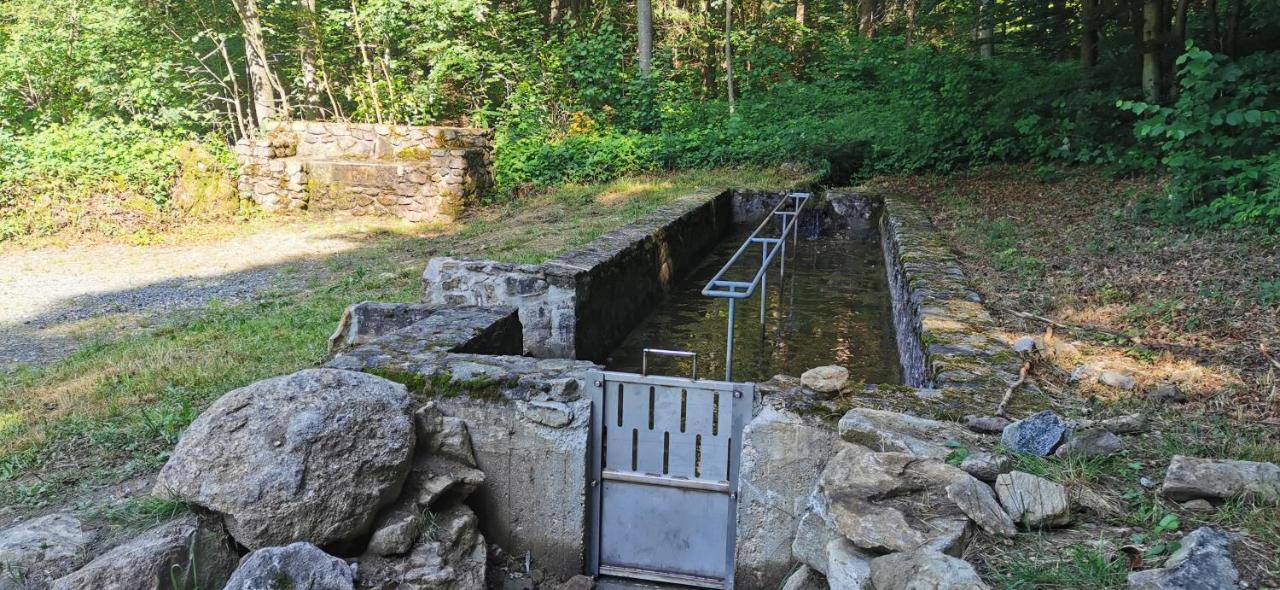 Anno - Die Wohlfuehl - Idylle In Gruenbach_Kirchdorf Kirchdorf im Wald Exterior photo
